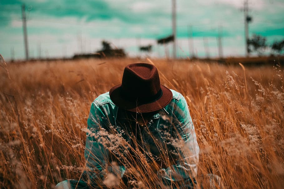 person, sitting, wheat field, brown, hat, teal, sports, shirt, withered, leaf
