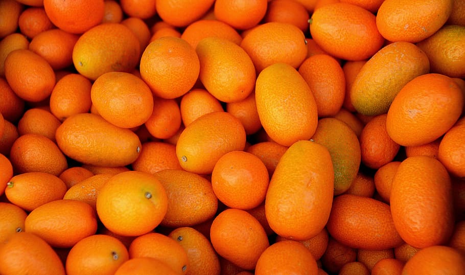 orange fruits, fruit, orange, kumquat, left untreated, market, purchasing, healthy, bio, food