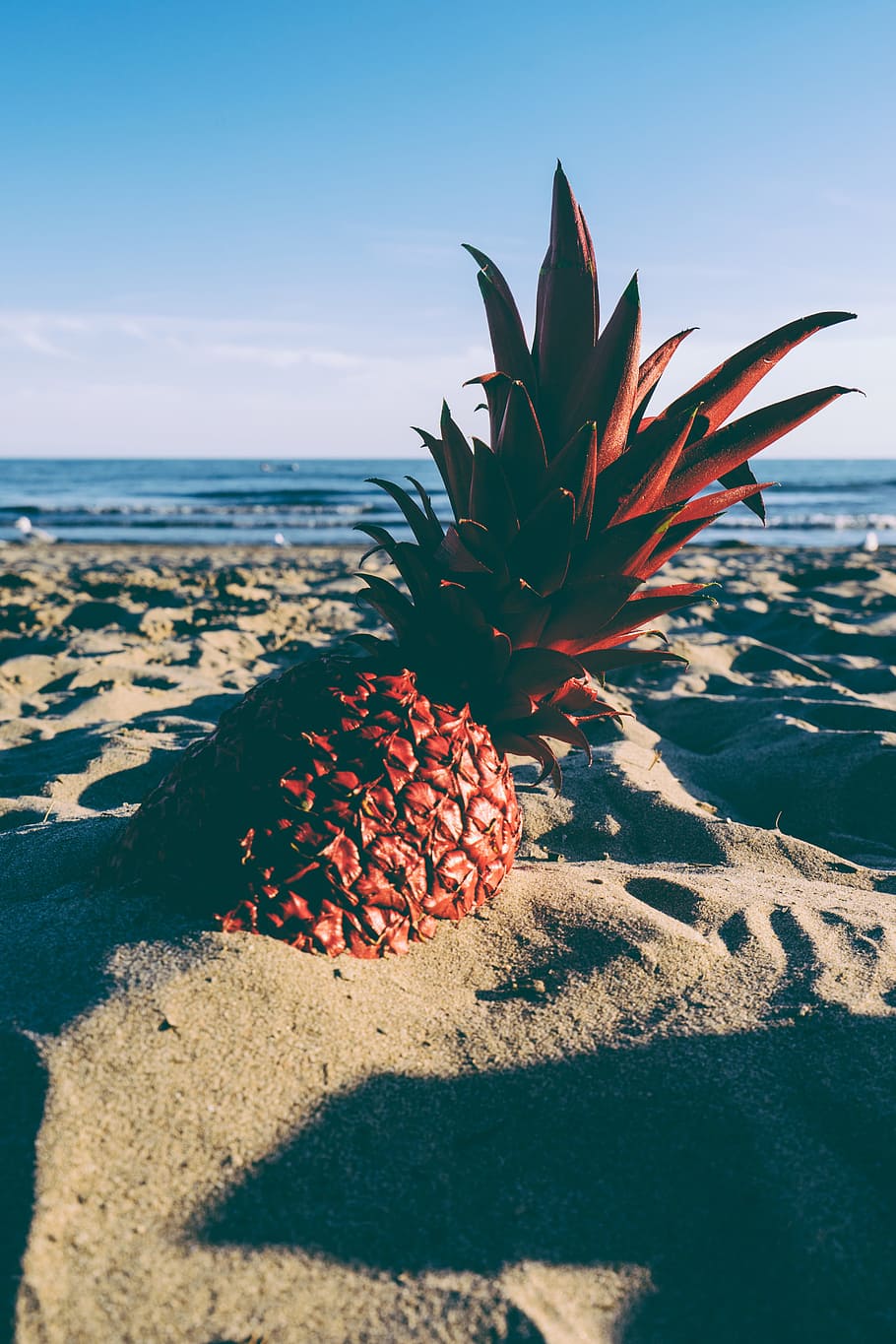 pineapple, gray, sand, blue sky, fruit, horizon, lake, ocean, painted, red