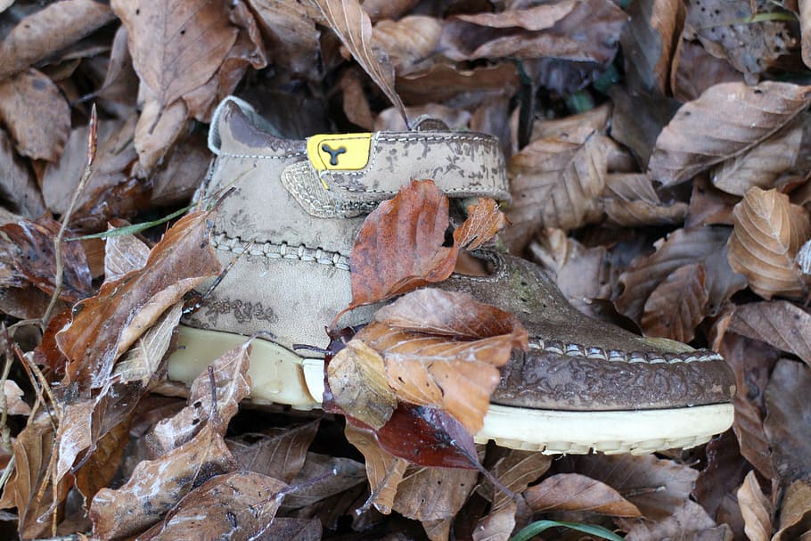 children's shoe, shoe, individually, nature, forest, child, clothing, foot, small, worn