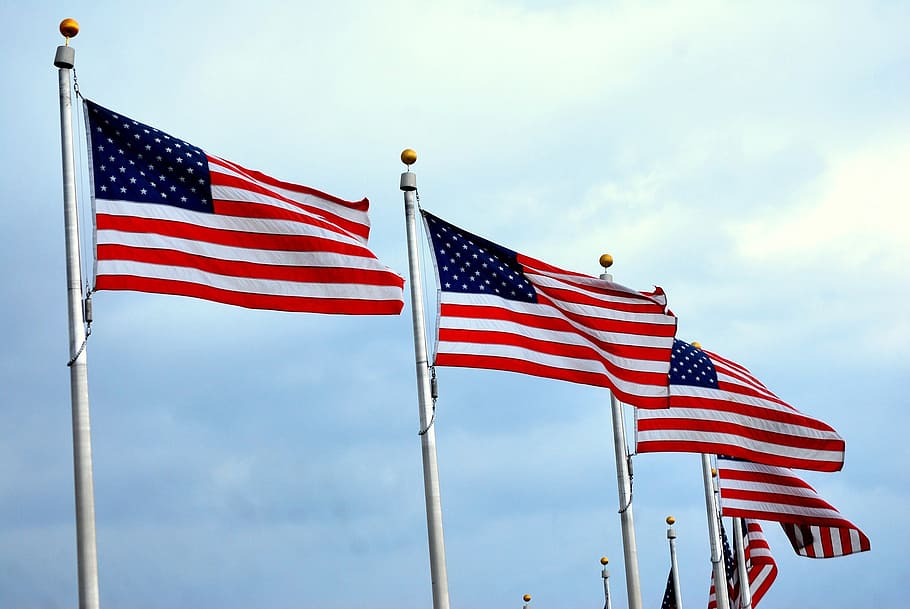 nosotros.flag lot, bandera, banderas, americano, unido, estados, volando, soplando, viento, rayado