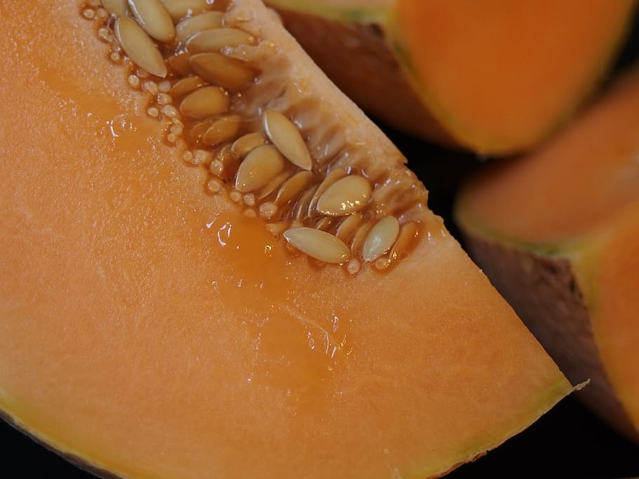 sliced melon fruits, melon, cantaloupe, orange fruit, food, food and drink, freshness, close-up, indoors, ready-to-eat