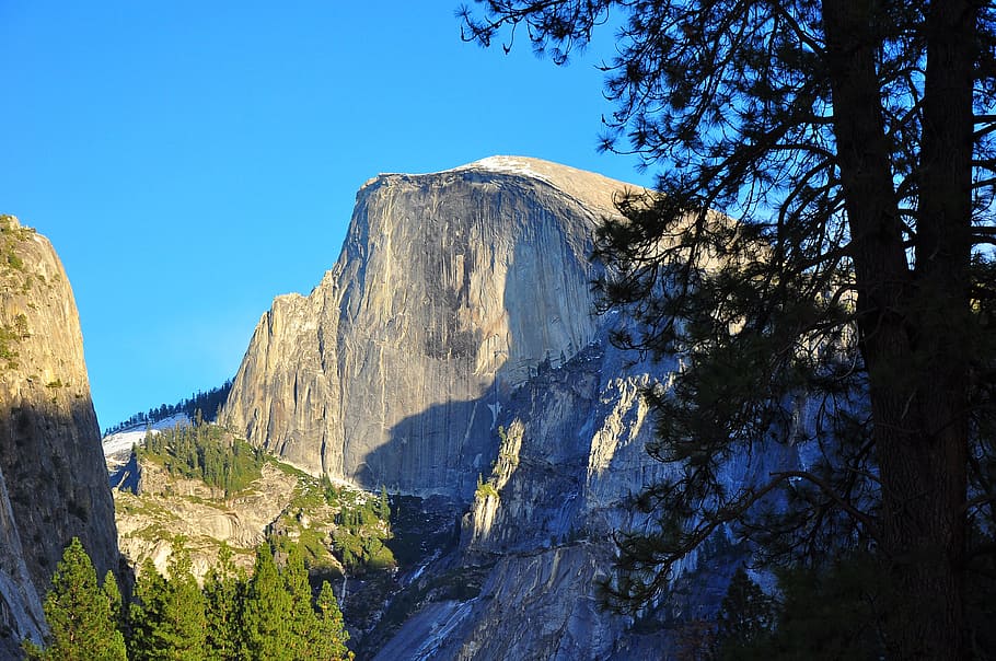 Half Dome, Yosemite, landscape, nature, travel Locations, yosemite National Park, mountain, scenics, outdoors, tree