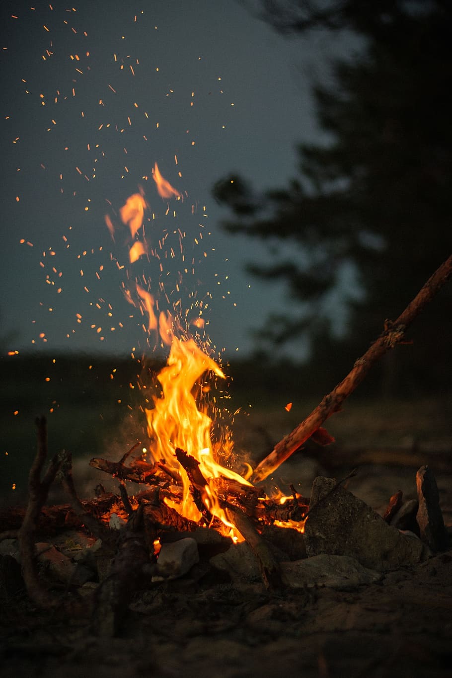 dangkal, fokus fotografi, api unggun, api, lampu, gelap, malam, panas, kayu bakar, pembakaran