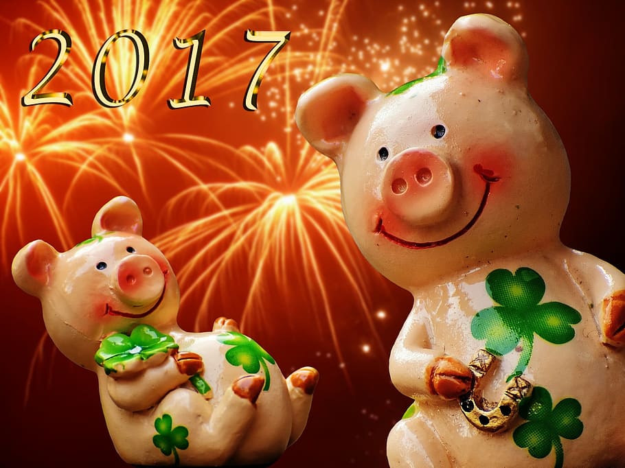 merah muda, keramik, patung-patung babi, keberuntungan, anak babi, babi beruntung, lucu, pesona keberuntungan, menabur, malam tahun baru