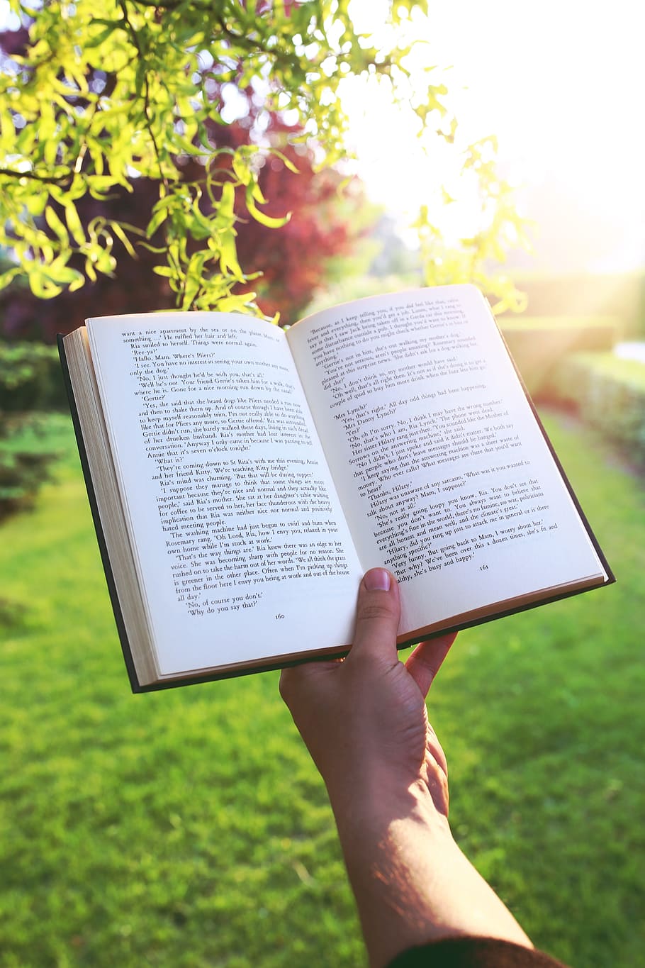 person holding book, book, hand, reading, read, sunset, garden, publication, human hand, plant