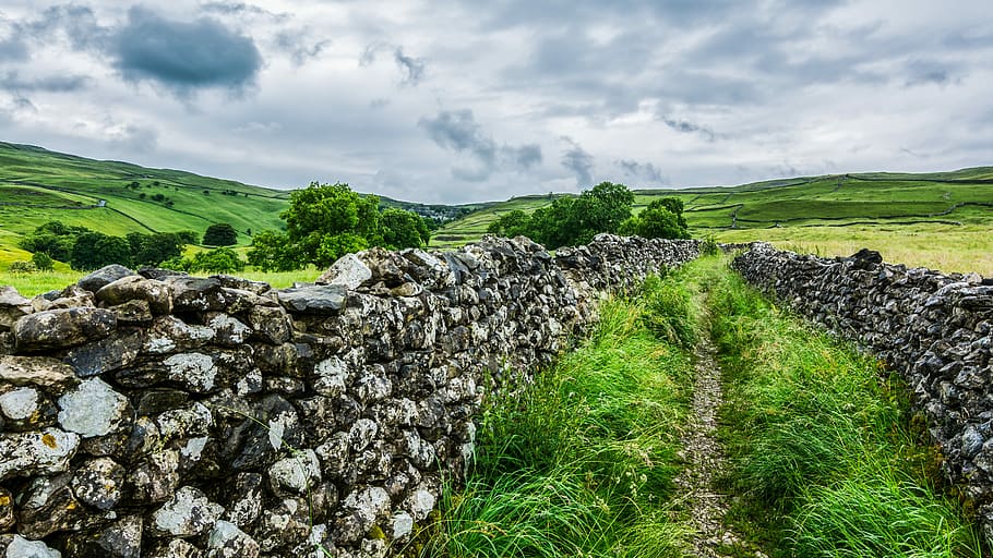 green, plain, field, daytime, malham cove, yorkshire dales, dry stone wall, nature, landscape, rock