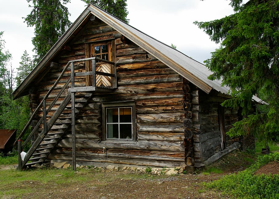 finland, wooden house, woodcutter, logs, architecture, built structure, building exterior, building, plant, tree