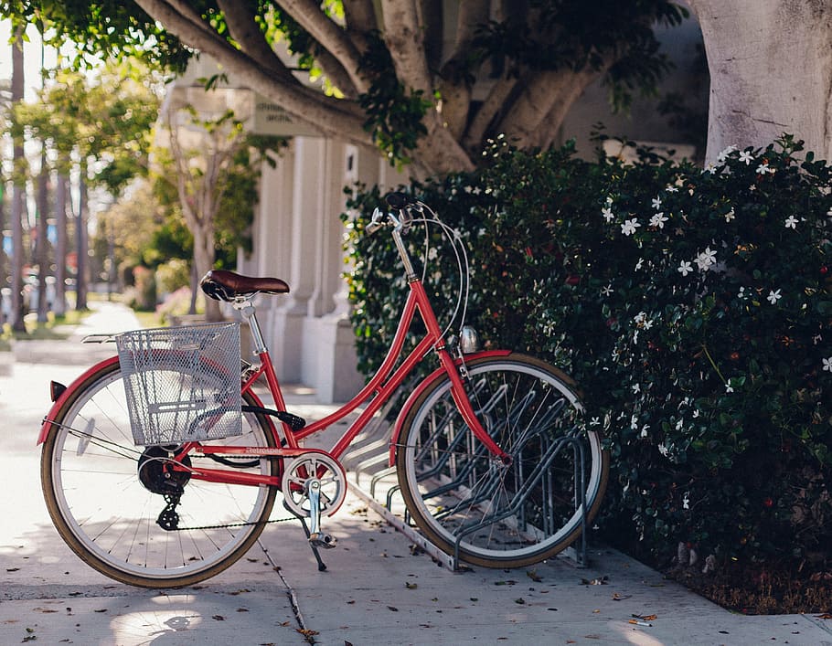 bicicleta, estacionado, planta, verde, plantas, árboles, flores, callejón, parque, sombra
