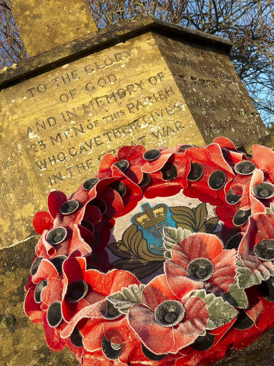 Memorial, War, Wreath, Poppy, Dorset, Uk, england, frost, religion, gold colored