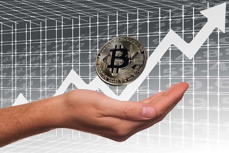 bitcoin cryptocurrency, bitcoin, pertukaran saham, laba, saham, kenaikan, mata uang kripto, mata uang, uang, tangan