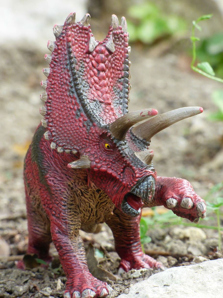 pentaceratops, dinosaur, prehistory, toy, game, figurine, focus on foreground, animal, animal themes, day