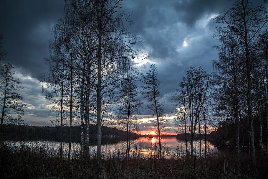 leafless tree, gray, sky, body, water, lake scenery, finland, spring, evening, lake
