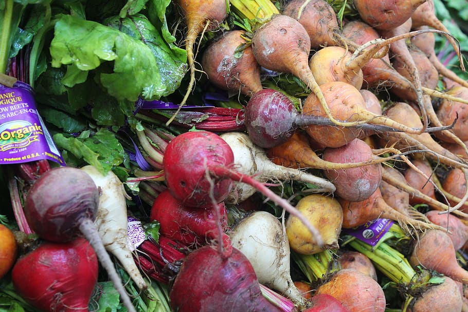 alimentos, vegetales, raíz, saludable, mercado, nabos, natural, nutrición, naturaleza, planta