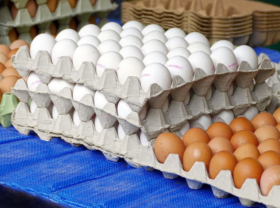卵, 鶏卵, 卵のカートン, たくさんの卵, 卵の包装, 茶色の卵, 天然物, 市場, 露店, 生産者