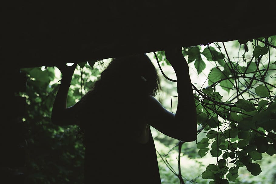 person beside tree, people, woman, dark, shadow, green, leaves, trees, plants, woods