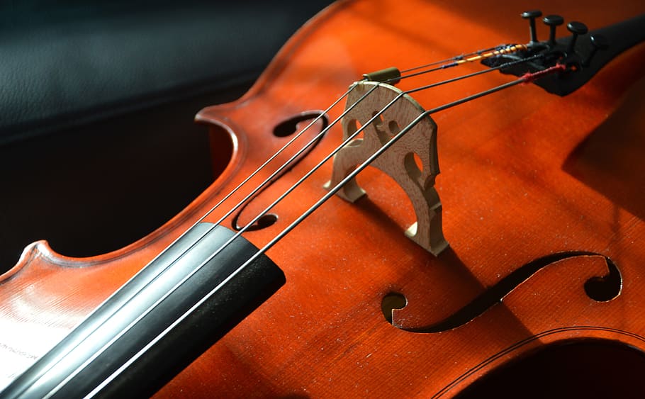 close, photography, brown, violin, cello, strings, stringed instrument, wood, instrument, classical music