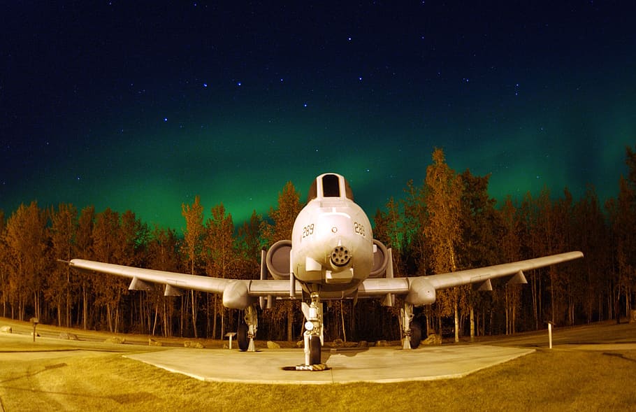white, commercial, airplane, brown, leafed, trees, nighttime, constellation, big dipper, sky