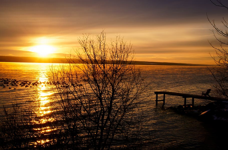 sunset, sky, water, lake, dock, birds, trees, scenics - nature, beauty in nature, tranquility