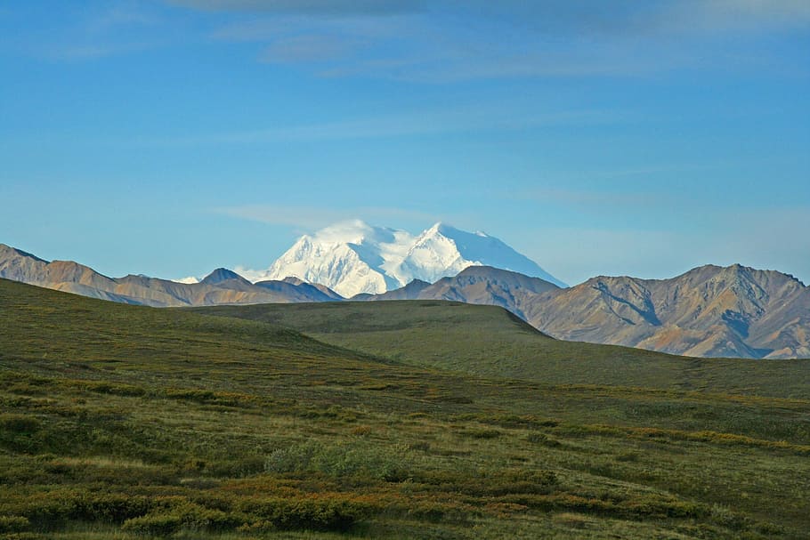 Alaska, Denali, Wilderness, Mountains, denali, wilderness, nature, mount denali, tundra, plants, mountain
