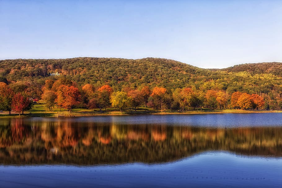 green, leaf tree, lake, squantz pond, connecticut, landscape, scenic, fall, autumn, forest