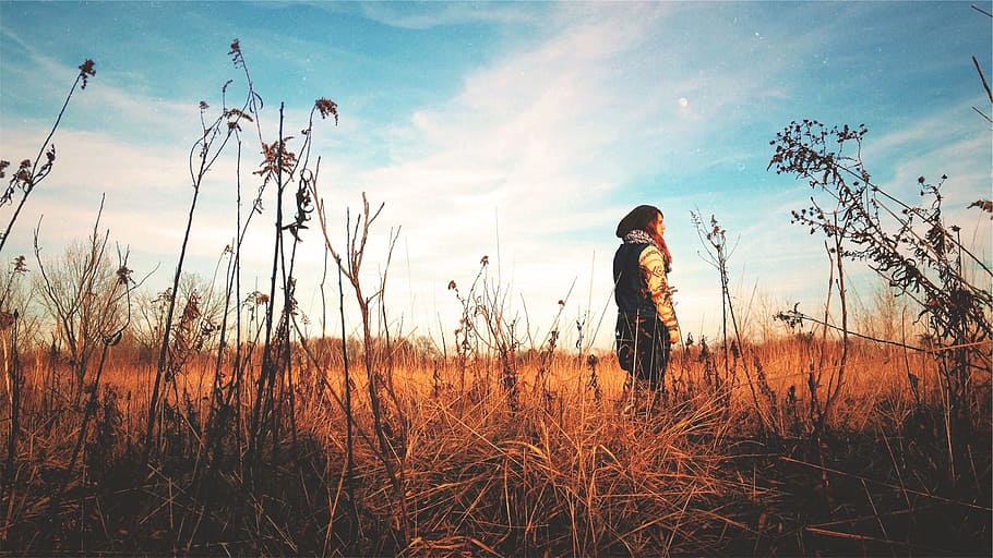 girl, field, plants, sunshine, rural, country, sky, clouds, people, sweater