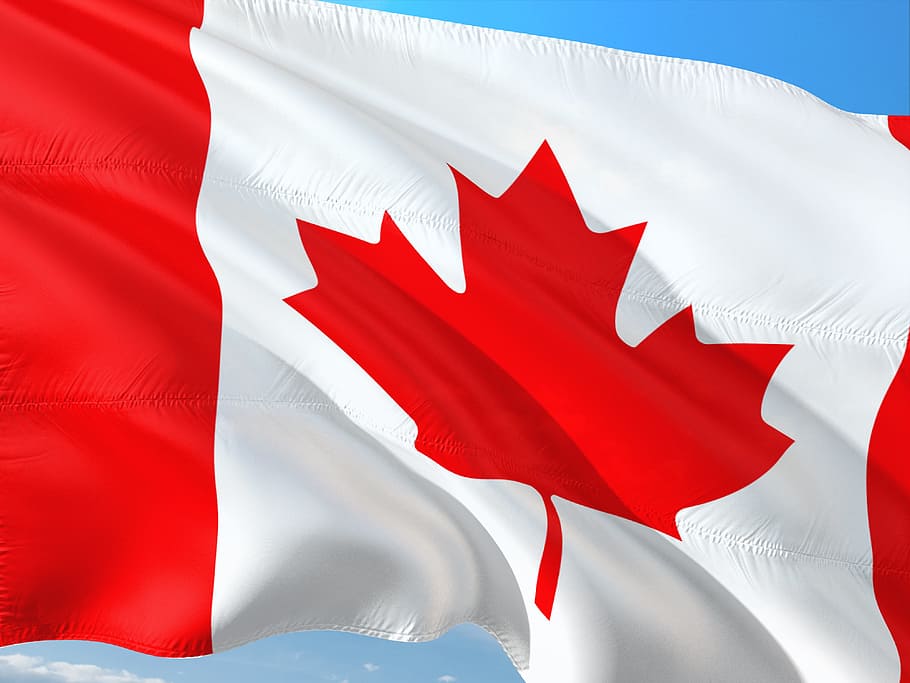 캐나다의 국기, 국제, 국기, 캐나다, 빨간, 깃발, 애국심, 단풍잎, 흰색, 잎