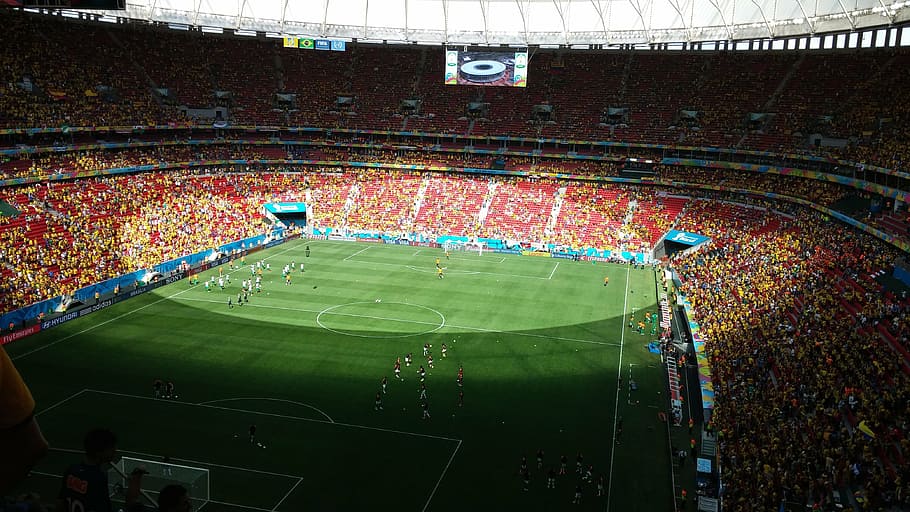 soccer field stadium, daytime, stadium, football, field, lawn, game, crown, fifa world cup, brazil