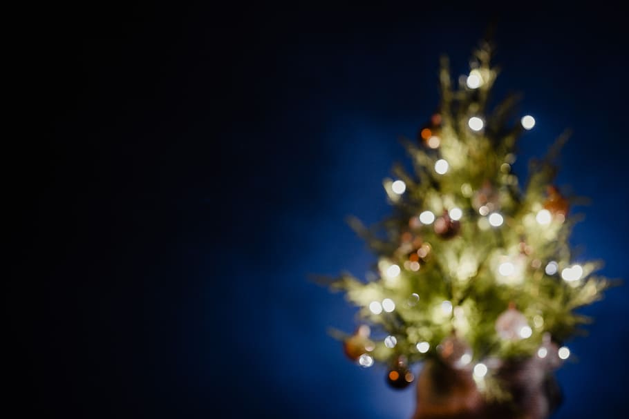 blurred christmas tree, christmas tree, blurred, lights, christmas lights, copy space, Christmas, tree, navy, blue