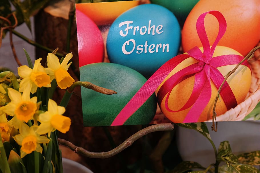 Greeting, Happy Easter, easter greeting, easter, greeting card, easter eggs, postcard, daffodils, colorful eggs, colorful