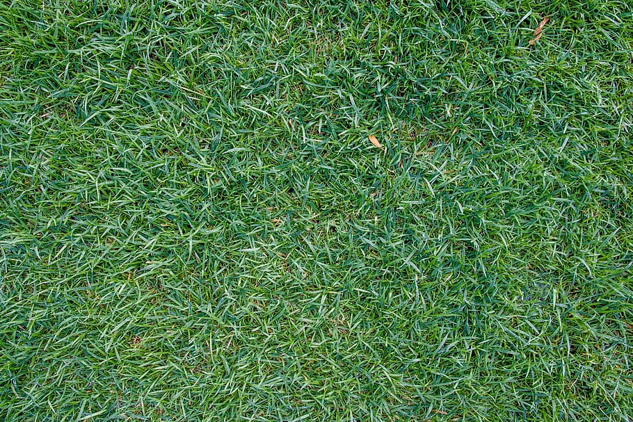 green grass, the lawn, grass, ya japan, backgrounds, nature, pattern, green Color, turf, textured