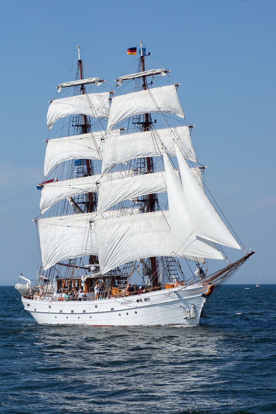 people, sail, boat, ship, hanse sail, baltic sea, summer, mood, summer vacation, water