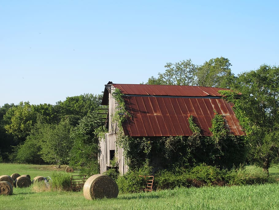 Barn, Hay, Bales, Landscape, Ruin, Broken, hay bales, old, rural Scene, farm