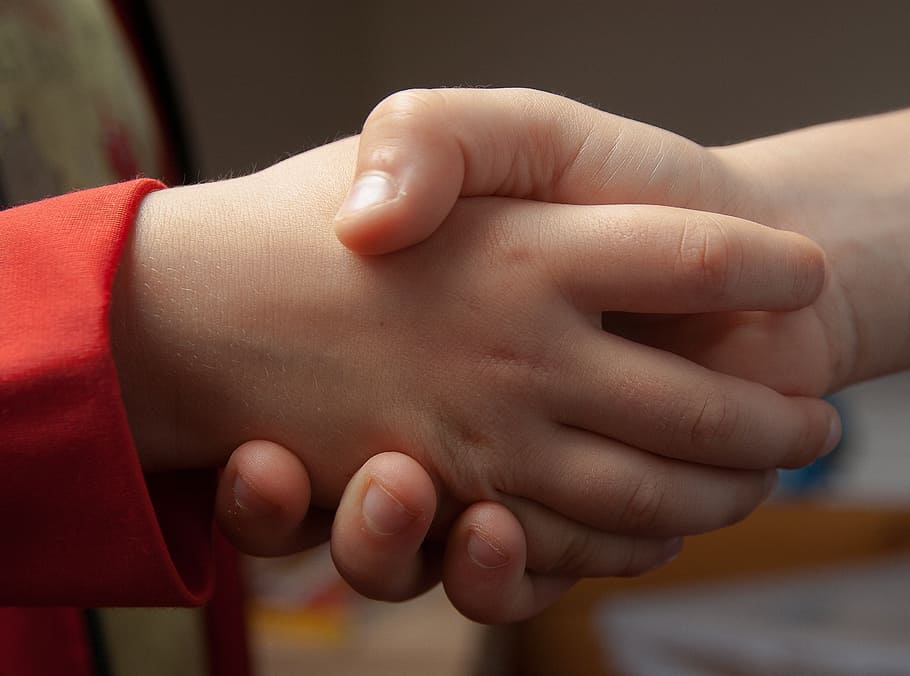 shake hands, handshake, hi, friendship, hands, children, human Hand, child, close-up, people