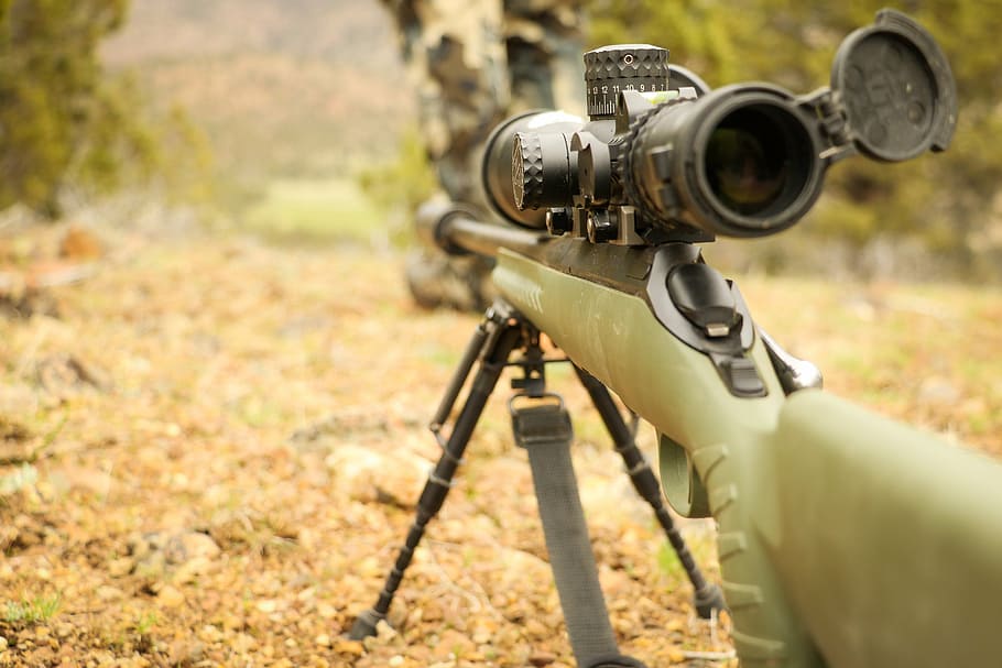 shallow, focus photo, rifle, scope, hunt, hunting, gun, hunter, sport, nature