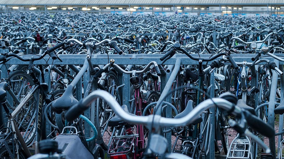 bicycle lot, parked, outdoor, parking lot, daytime, bicycle, parking, still, items, things