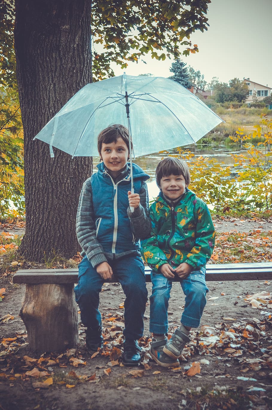 paraguas, niños, sin embargo, lluvia, otoño, naturaleza, río, banco, hermanos, amigos