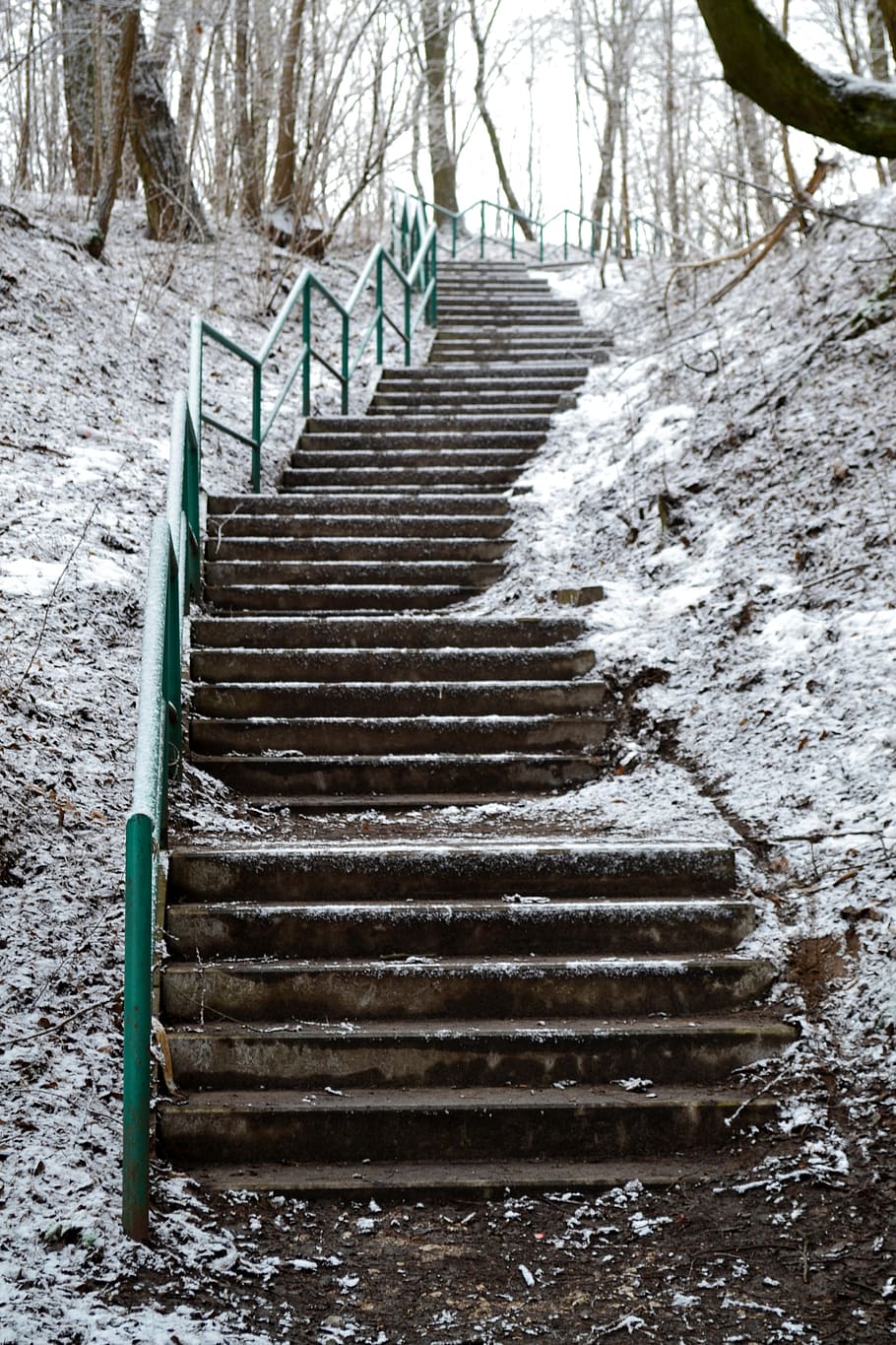 stairs, winter, snow, nature, poznan, staircase, steps and staircases, architecture, direction, the way forward