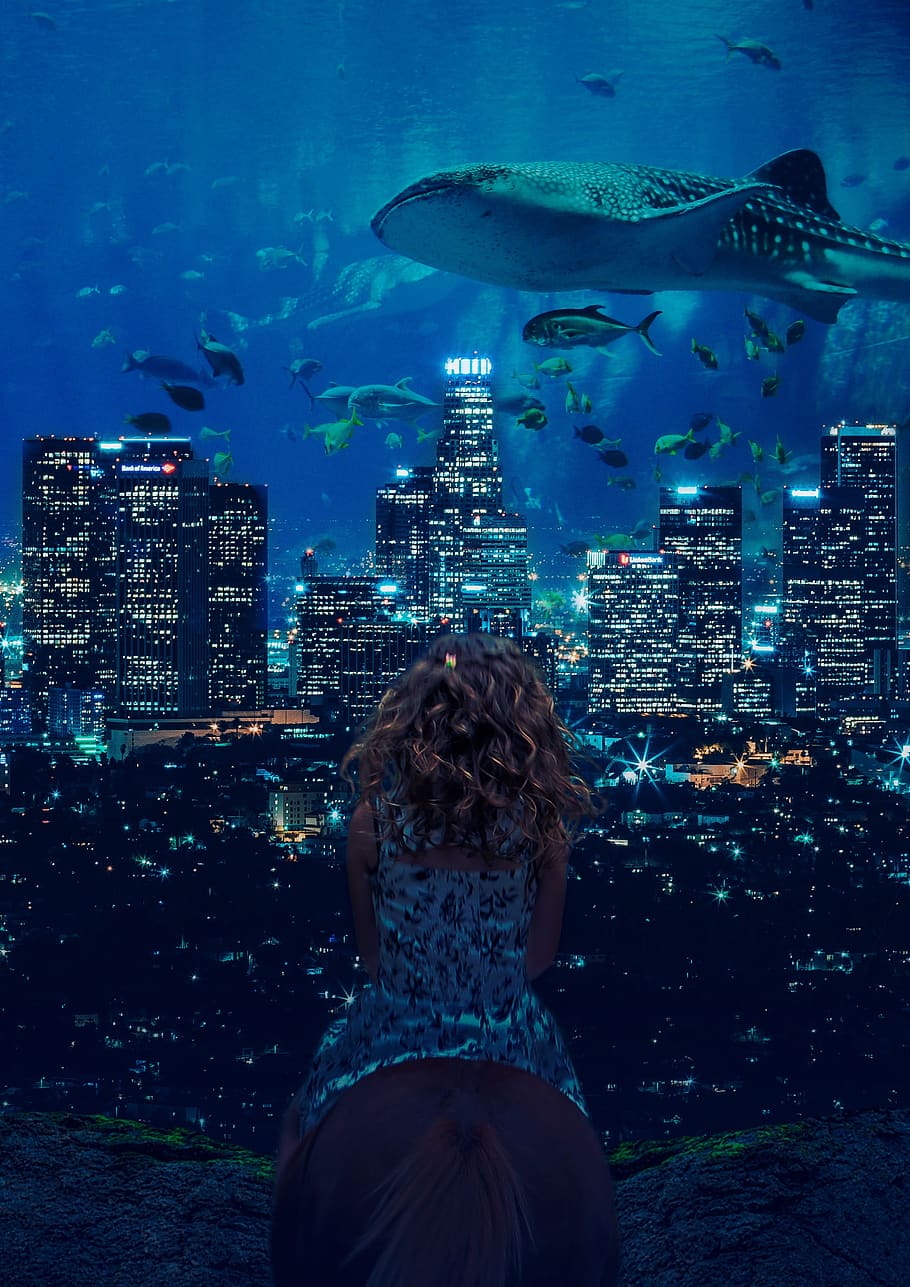 girl, fish, mermaid, fantasy, one person, built structure, rear view, building exterior, architecture, city