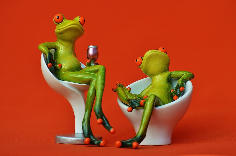 dos, verde, ranas, sentado, blanco, sillas, fiesta, celebrar, beber, gracioso