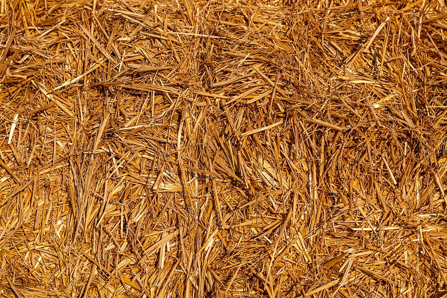 straw, dry, agriculture, harvest, summer, straw bales, cereals, harvest time, golden, bale
