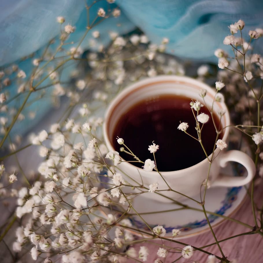 drink, cup, hot, coffee, gypsophila, flower, tea, liquid, dawn, plant