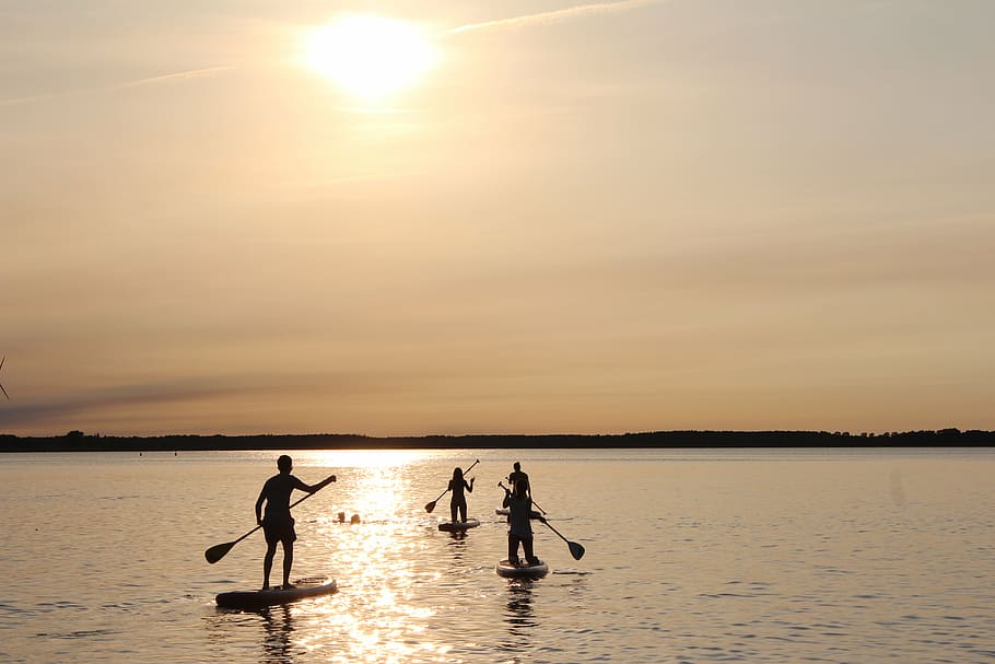 four, person, riding, surfboard, rowing, body, calm, sea water, daytime, stand up paddle