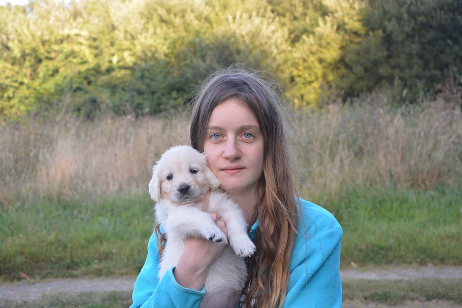 woman, carrying, golden, retriever puppy, outdoor, young, portrait, dog, tenderness, complicity