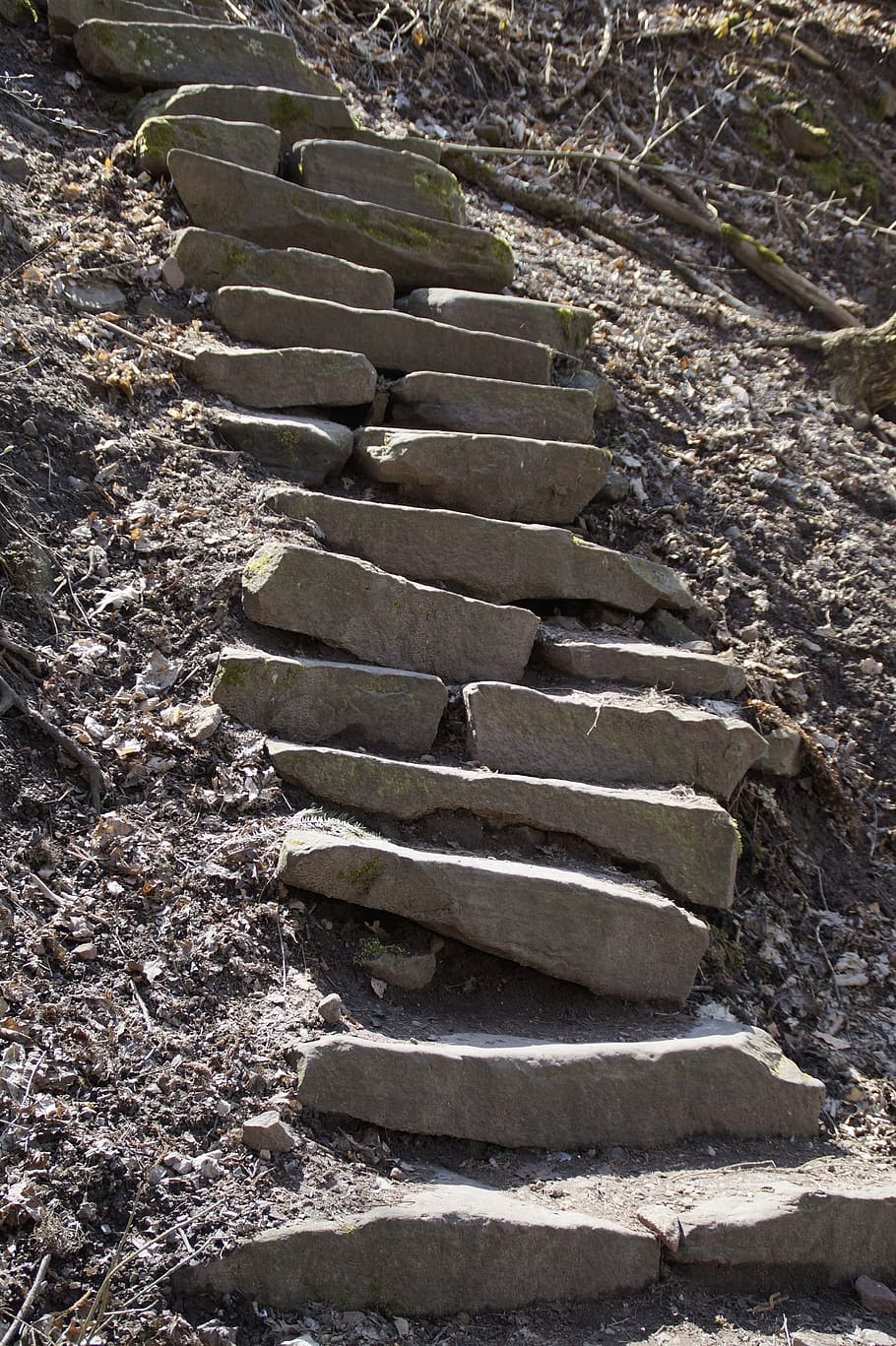 stone, nature, sand stone, stairs, jacob's ladder, head, forest path, climb, exhausting, steep