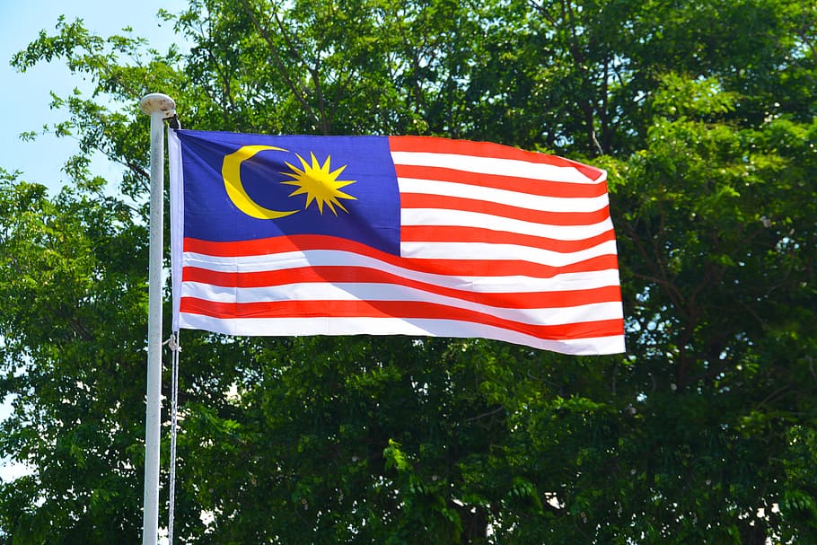マレーシア国旗青, フルマスト, 旗の飛行, 木, 植物, 愛国心, 旗, 自然, ストライプ, 日