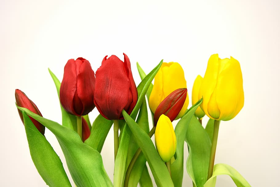 bouquet, red, yellow, tulip, tulips, flowers, artificial, spring, flower, flowering plant