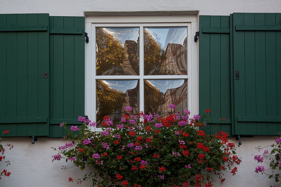 closed, window, flowers, home, old, gwölbtes window glass, mirroring, shutters, green, floral decorations