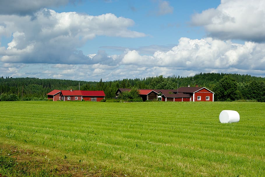 red, barn, surrounded, green, grass field, white, cloudy, sky, finland, farm