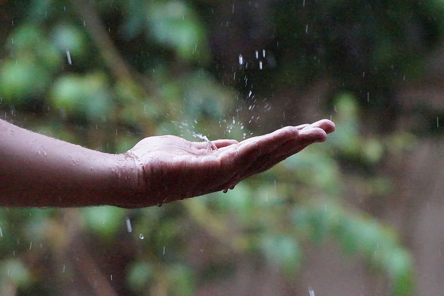 人, 左, 手, キャッチ, 雨滴, 昼間, 水滴, 落ちる水滴, 雨季, 手に落ちる